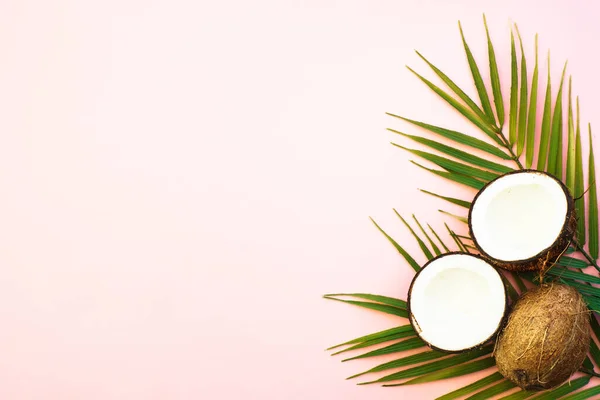 Zomer Plat Lag Achtergrond Palmbladeren Kokosnoot Roze Achtergrond — Stockfoto
