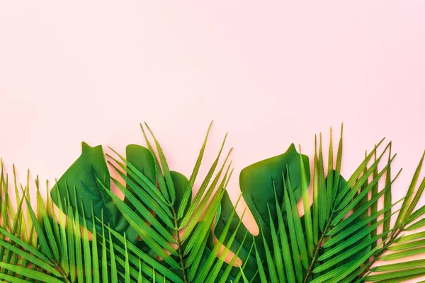 Palmové Listy Růžovém Pozadí Byt Ležel Kopírovacím Prostorem — Stock fotografie