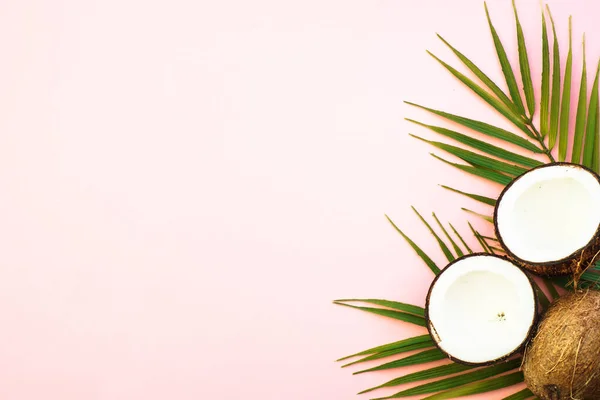 夏日平平静静的背景 粉红背景的棕榈叶和椰子 — 图库照片