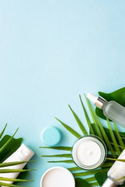 Yaz kozmetik ürünleri, üzerinde palmiye yaprakları olan kozmetik ürünler. Üst görünüm.