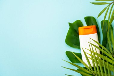 Mavi arka planda palmiye yapraklı güneş kremi ürünleri. Yaz tatilleri için güneş koruması, plaj rahatlığı ve güneşlenme. Metin için boşluk ile düz uzandı.