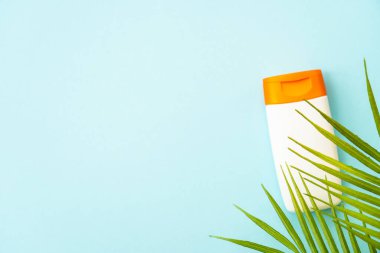 Mavi arka planda palmiye yapraklı güneş kremi ürünleri. Yaz tatilleri için güneş koruması, plaj rahatlığı ve güneşlenme. Metin için boşluk ile düz uzandı.