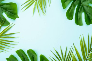 Mavi arka planda palmiye yaprakları. Kopyalama alanı olan düz.