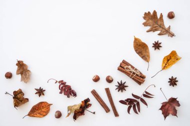 Sonbahar düz arka plan yatıyordu. Sonbahar yaprakları, baharatlar ve fındıklar beyaz üzerine.