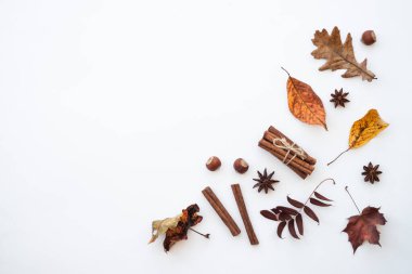 Yaratıcı sonbahar kompozisyonu. Sonbahar yaprakları, baharatlar ve fındıklar beyaz üzerine.