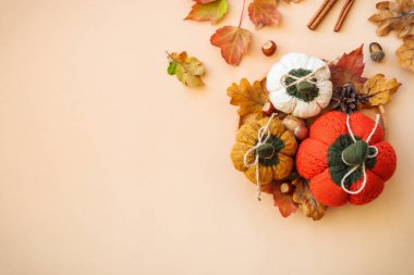 Sonbahar süslemeleri. Renkli arka planda balkabağı, yaprak, mum ve diğerleri var. Ev dekoru.