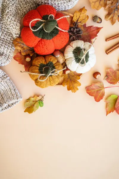 秋天平平的背景 彩色背景的自制针织南瓜 树叶和家居装饰 — 图库照片