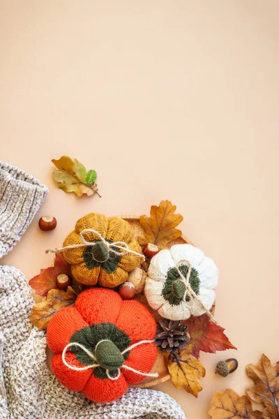 秋天平平的背景 彩色背景的自制针织南瓜 树叶和家居装饰 — 图库照片