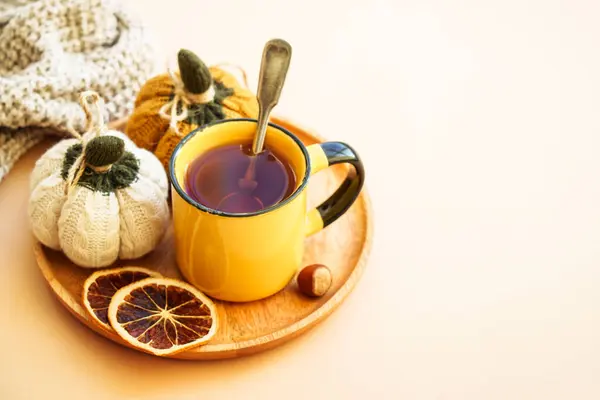 一杯茶 针织秋装装饰 舒适的秋天构图 — 图库照片