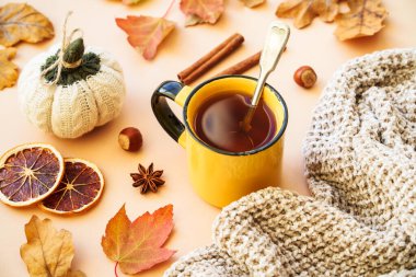 Bir fincan çay, baharat ve balkabağı. Samimi sonbahar kompozisyonu, ev dekorasyonu.