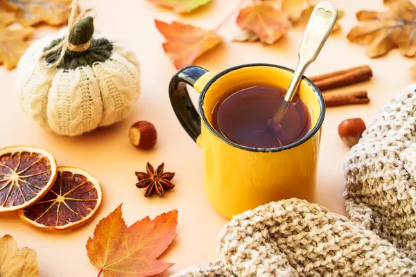 Xícara Chá Especiarias Abóboras Malha Composição Aconchegante Outono Decoração Home — Fotografia de Stock
