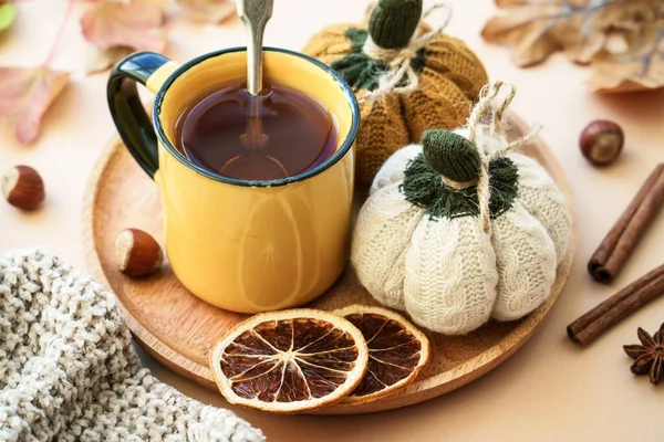 一杯茶 针织秋装装饰 舒适的秋天的作曲 被投掷的图像 — 图库照片