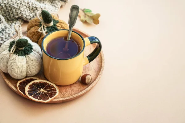 一杯茶 针织秋装装饰 舒适的秋天的作曲 被投掷的图像 — 图库照片