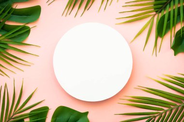 Yaz düzlüğü arka plandaydı. Pembe arka planda tropik yapraklar ve beyaz podyum.