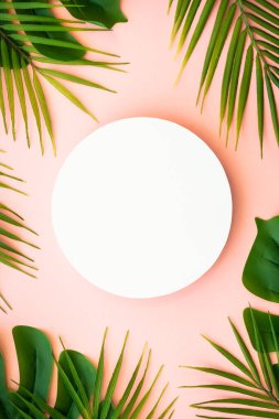 Yaz düzlüğü arka plandaydı. Pembe arka planda tropik yapraklar ve beyaz podyum.