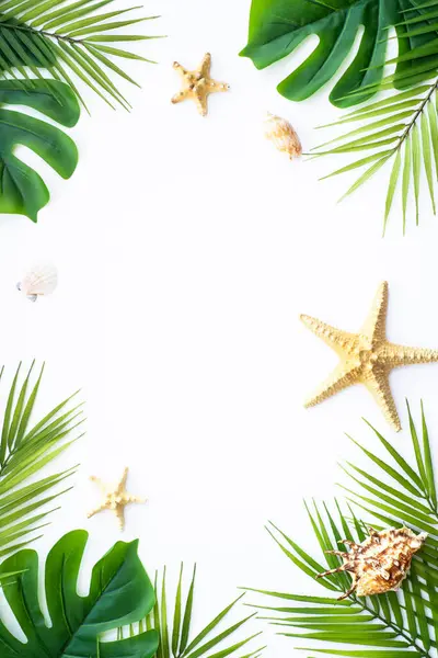 Zomer Plat Lag Witte Achtergrond Tropische Bladeren Palmbladeren Schelpen Stockfoto
