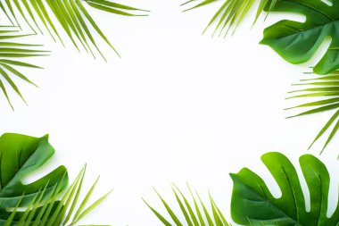 Summer flat lay background. Tropical leaves, palm leaves and monstera on white background. clipart