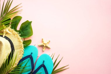 Yaz düzlüğü arka plandaydı. Palmiye yaprakları, deniz kabukları ve pembe arka planda yaz örtüsü..