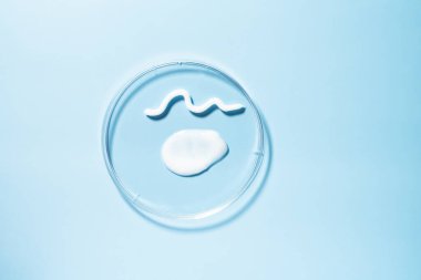 Kozmetik lekeler, mavi arka planda petri kabındaki ürün dokuları. Üst görünüm