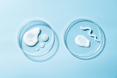 Kozmetik lekeler, mavi arka planda petri kabındaki ürün dokuları. Düz yatıyordu.