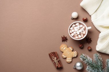 Kış yassı arka plan. Sıcak çikolata, noel kurabiyeleri ve köknar ağacı dallı baharatlar. Kopyalama alanı olan düz resim.