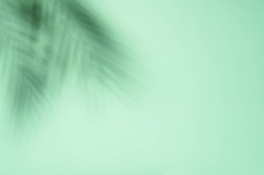 Mavi palmiye gölgeli, soyut bir arka plan. Tasarım için boş boşluk.