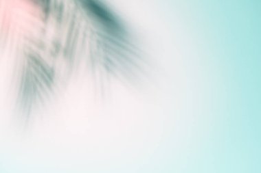 Mavi palmiye gölgeli, soyut bir arka plan. Güneşli yaz arkaplanı. Tasarım için boş boşluk.