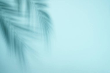 Mavi arka plan ve palmiye gölgeleri. Web tasarımı için uzun pankart biçimi.