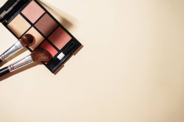 Pastel arka planda sert gölgelerle palet ve kozmetik fırçalar yap. Kopyalama alanı olan en üst görüntü.