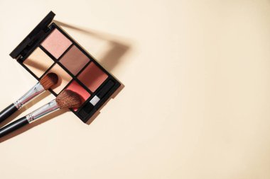 Pastel arka planda gölgeli kozmetik palet ve kozmetik fırçalar. Kopyalama alanı olan en üst görüntü.