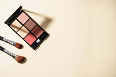 Pastel arka planda sert gölgelerle palet ve kozmetik fırçalar yap. Kopyalama alanı olan en üst görüntü.