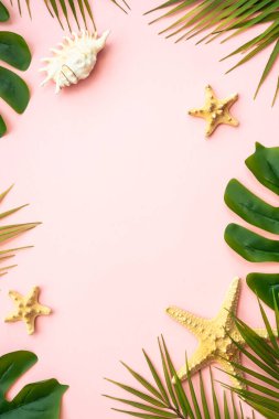 Yaz aylarında pembe arka planda yatıyordu. Tropik yapraklar, palmiye yaprakları ve deniz kabukları.