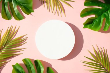 Yaz aylarında arka planda son moda gölgeler vardı. Pembe arka planda tropik yapraklar ve beyaz podyum.