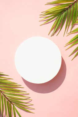 Yaz aylarında arka planda palmiye yaprakları ve sert gölgeler vardı. Dizayn için alanı olan pembe arkaplan üzerinde düz uzandı.