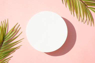 Yaz aylarında arka planda palmiye yaprakları ve sert gölgeler vardı. Dizayn için alanı olan pembe arkaplan üzerinde düz uzandı.