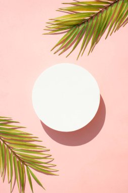 Palmiye yaprakları ve son moda gölgeleri olan podyum. Pembe arka planda düz uzandı.