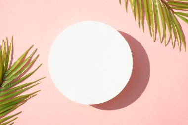 Yaz aylarında arka planda son moda gölgeler vardı. Pembe arka planda tropik yapraklar ve beyaz podyum.