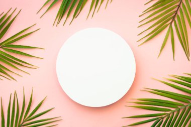 Podyum ve palmiye yaprakları ile yaz düz arka plan yatıyordu. Dizayn için alanı olan pembe arkaplan üzerinde düz uzandı.