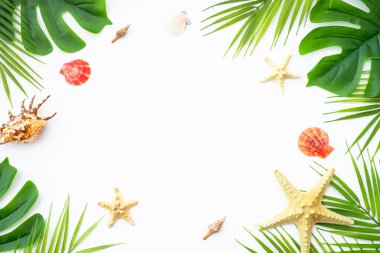 Yaz beyazı arka planda yatıyordu. Tropik yapraklar, palmiye yaprakları ve deniz kabukları.