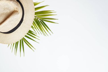 Beyaz palmiyeli yaz şapkası. Kopyalama alanı olan üst görünüm.