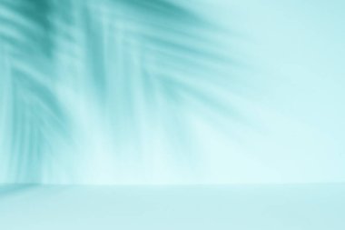 Palmiye gölgeli soyut bir arka plan. Tasarım için alanı olan ürün sunumu.