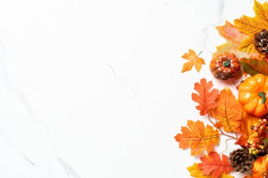 Beyaz düz zemin üzerinde sonbahar yaprakları yatıyordu. Tasarım için boş alan.