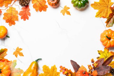 Sonbahar yaprakları ve balkabakları beyaz arka planda. Düz konum.