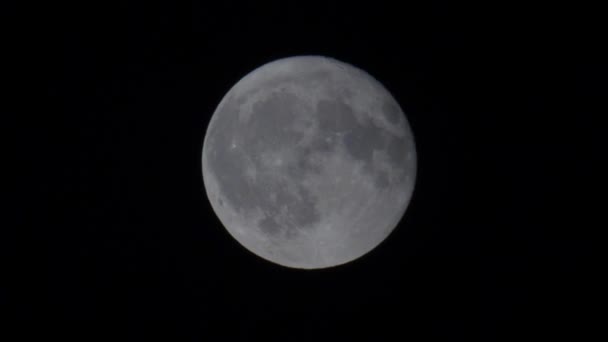 Super Pełnia Księżyca Świeci Nocnym Niebie Mroczne Tło Europie Kijów — Wideo stockowe