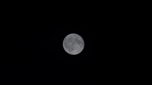 Super Luna Piena Bagliore Sul Cielo Notturno Sfondo Scuro Europa — Video Stock