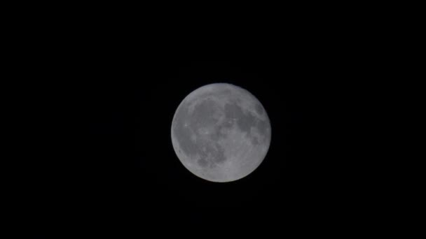 Super Pełnia Księżyca Świeci Nocnym Niebie Mroczne Tło Europie Kijów — Wideo stockowe