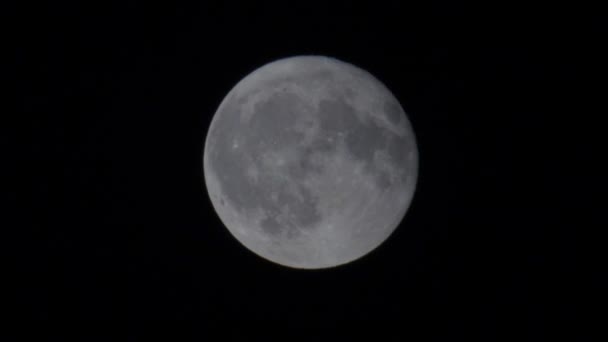 Super Luna Llena Brillan Cielo Nocturno Fondo Oscuro Europa Kiev — Vídeos de Stock