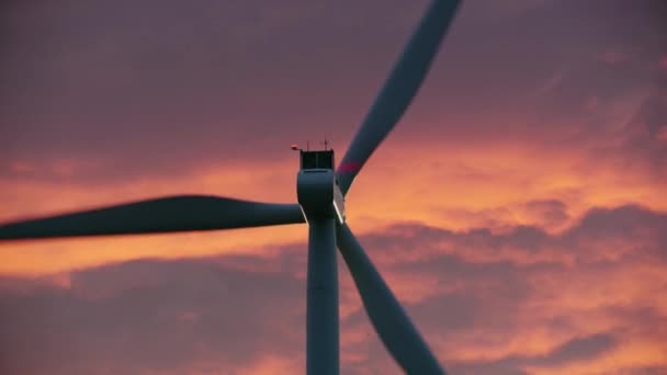 Зеленая Энергия Ветряные Турбины Производят Энергию Зеленом Поле Закате Современная — стоковое видео