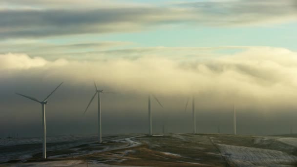 绿色能源 风力涡轮机 日落时分在绿地产生的能源 现代发电厂 替代能源 四联式飞行 — 图库视频影像