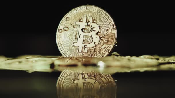 Cripto Moneda Bitcoin Extrema Cerca Material Archivo Monedas Btc Oro — Vídeo de stock